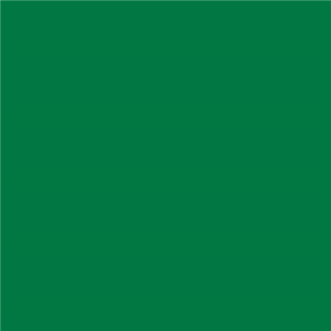 Guardanapo Airlaid 400x400mm Dobrado a 1/4 Verde Jaguar 14x50 un