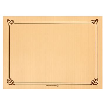 Toalhete Papel Flexo 310x430mm Caramelo 4x500 un