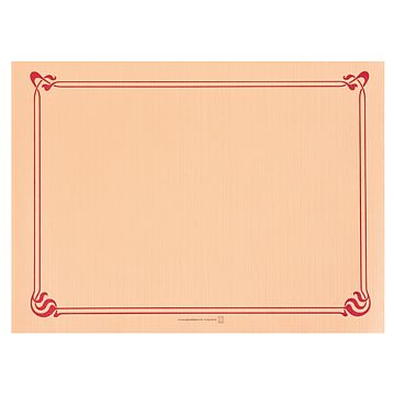 Toalhete Papel Flexo 310x430mm Salmo 4x500 un