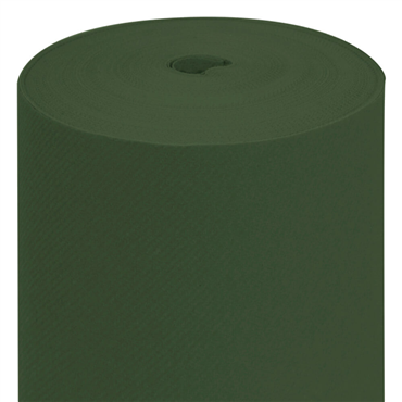 Toalha Airlaid Dry Tissue em Rolo 1,2x50m Verde Jaguar