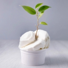 Productos veganos y de origen vegetal para helados