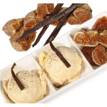 Gelado Baunilha Trifft Exotic